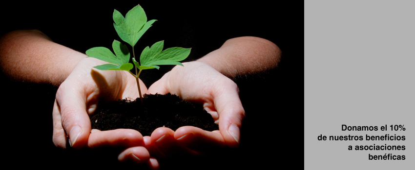 Proyectos solidarios