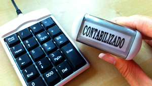 gesti&oacute; fiscal